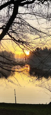 Bild von Restaurant Seeblick