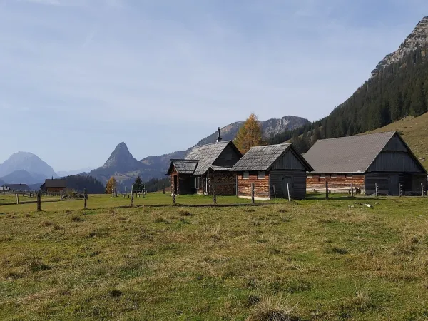 Bild von Gerlinde Mermod