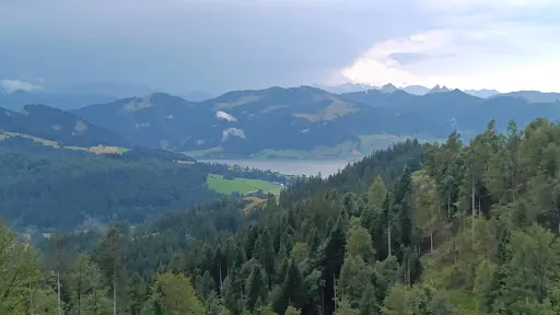 Bild von Alpwirtschaft Gueteregg