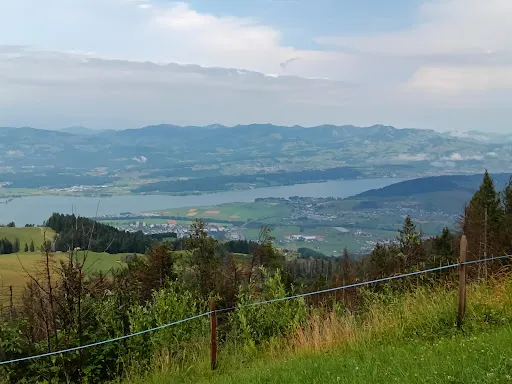 Bild von Alpwirtschaft Gueteregg