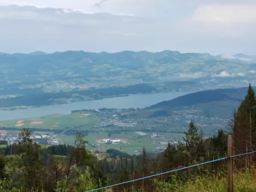 Bild von Alpwirtschaft Gueteregg