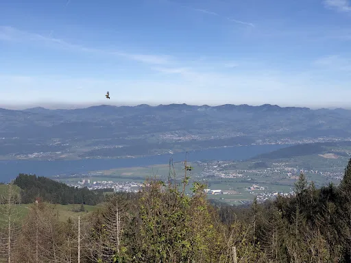 Bild von Alpwirtschaft Gueteregg