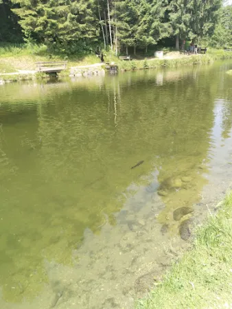 Bild von Lärchenteich Hopfgarten