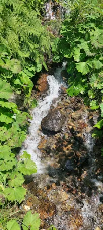 Bild von Söggenalm - Zellberg
