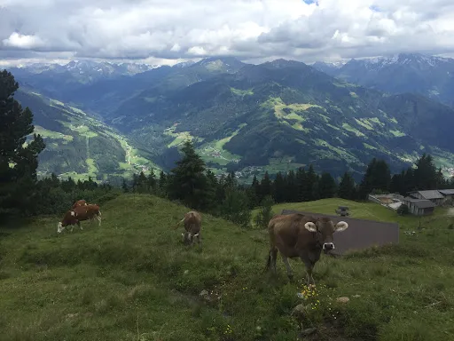 Bild von Söggenalm - Zellberg