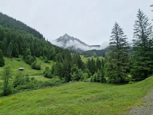 Bild von Gasthof Hochvogel