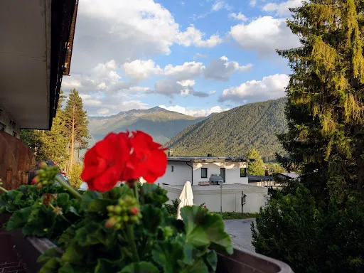 Bild von Pension Alpina & Restaurant