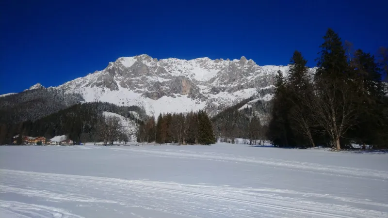 Bild von Ferienhotel + Restaurant im Knollhof