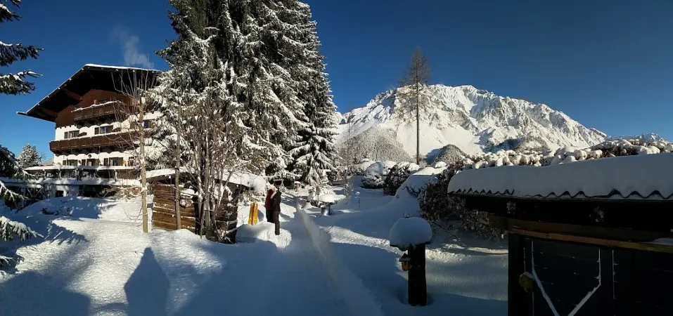 Bild von Di Bie
