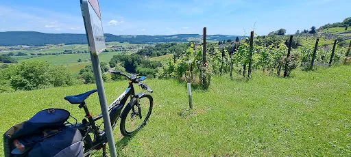 Bild von Castello