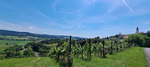 Bild von Castello