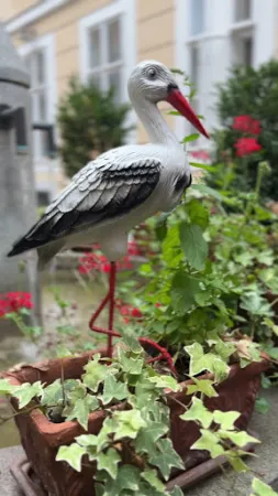 Bild von Restaurant Ayam Zaman