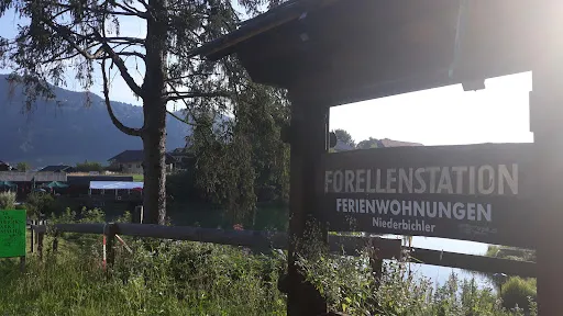 Bild von Forellenstation am Prefelnigteich