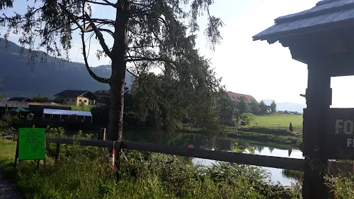 Bild von Forellenstation am Prefelnigteich