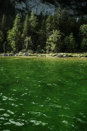 Bild von Seewiese Altaussee