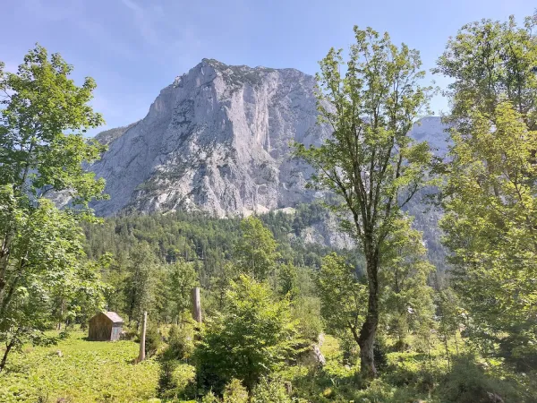Bild von Gerold Schmid