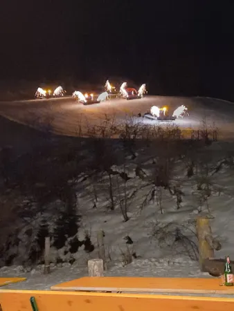 Bild von Alm Stadl Filzmoos - Apres ski und Almgaudii open end