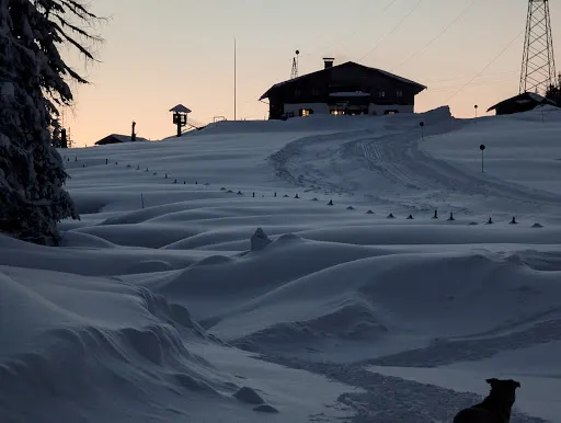 Bild von Mittereggalm