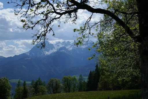 Bild von Mahdegg-Alm