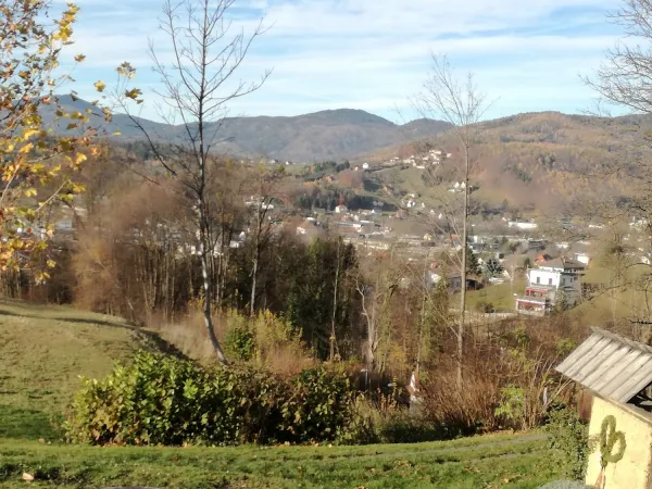 Bild von Andrea Bauer