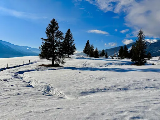 Bild von Hochmoor Stüberl