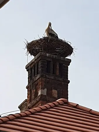 Bild von Gasthaus Zum Weinfassl