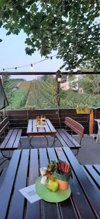 Bild von Hoffmann´s WeinZEIT