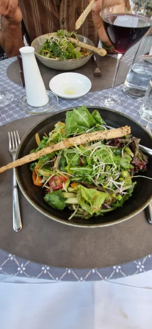 Adler Bistro-Restaurant