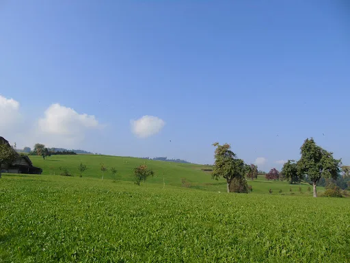 Bild von Hofbeizli Chuerüti