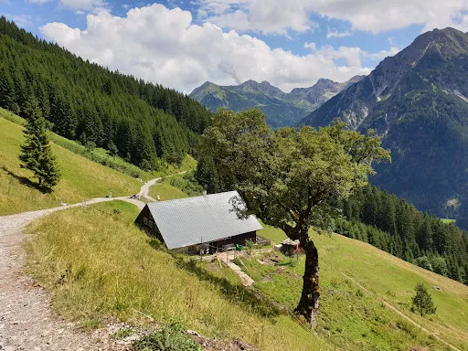 Bild von Alpsennerei Stutzalpe