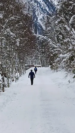 Bild von Lackenalm