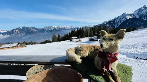 Bild von Schihütte FUCHSBAU