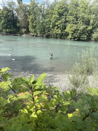 Bild von undefined