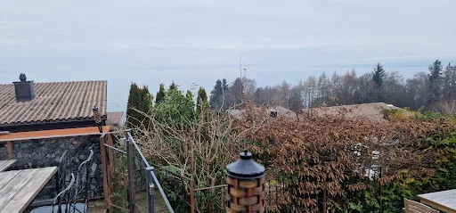 Bild von Treichli