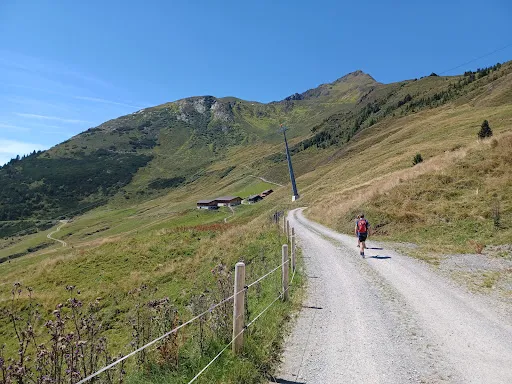 Bild von Geolsalm