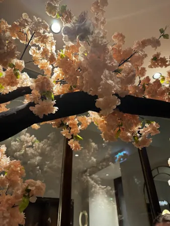 Bild von nami | asian fusion kitchen