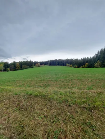 Bild von Rina