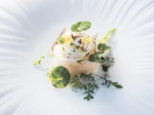 Restaurant Gastronomique "L'Ours"