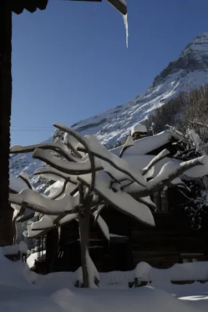 Bild von Hotel Restaurant le Trift