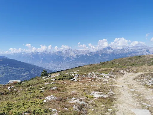 Bild von Chalet des Alpes