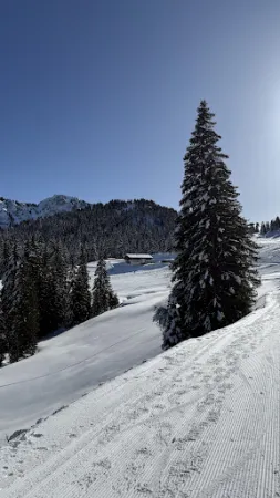 Bild von Restaurant Chalet-Neuf