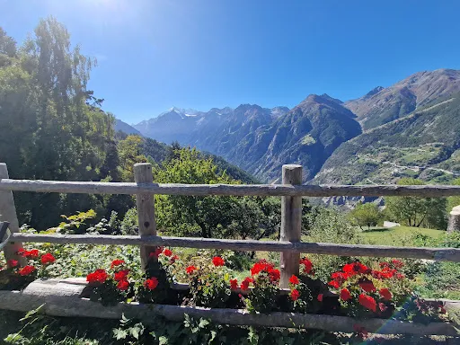 Bild von Restaurant Bärgji-Alp