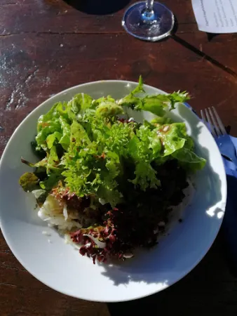 Bild von Mountain Restaurant Enzian