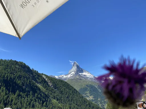 Bild von Mountain Restaurant Enzian