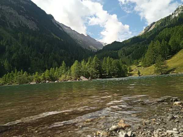 Bild von undefined