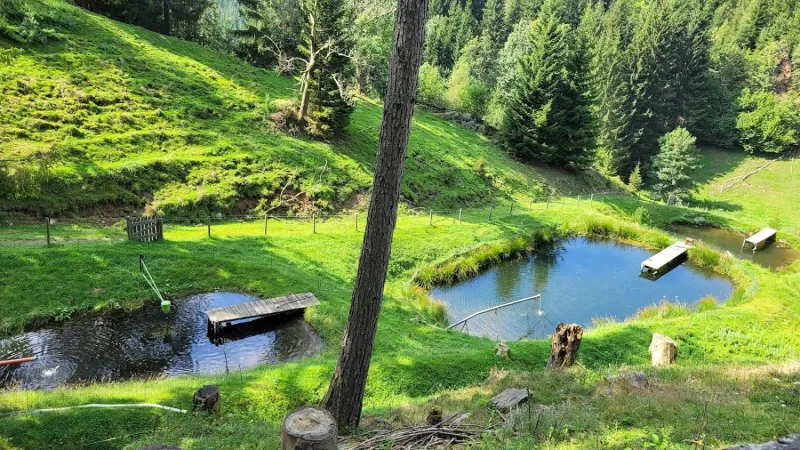 Bild von Zlata Grupp