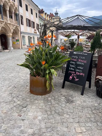 Bild von pankraz 1499