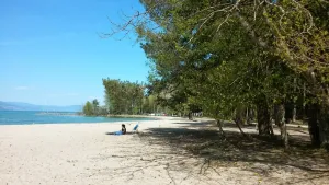 Buvette de la Plage