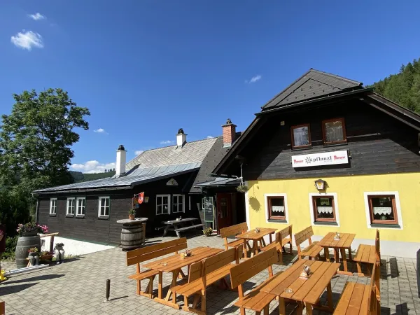 Bild von Pflanzlhütte