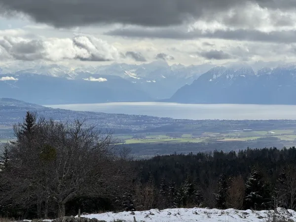 Bild von undefined